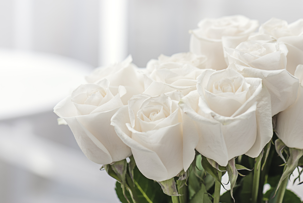 하얀 장미로 만들어진 꽃다발 